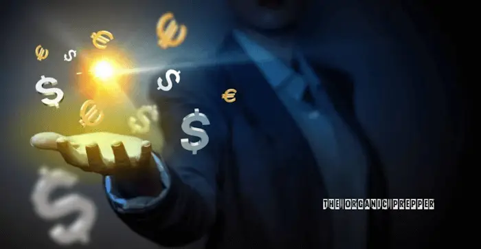 Monnaies digitales des banques centrales